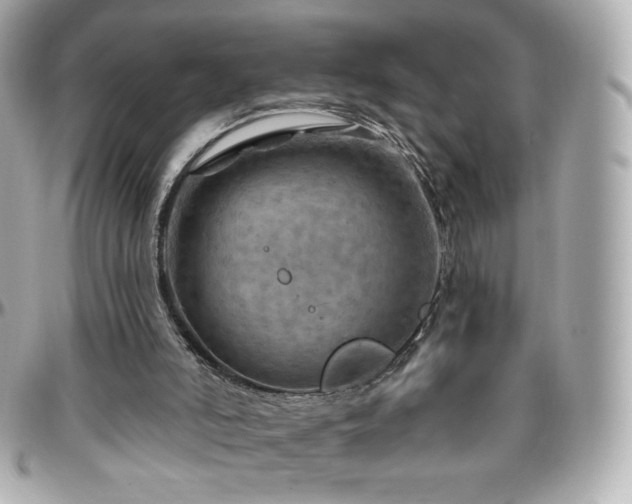 X0000096470006200801241439