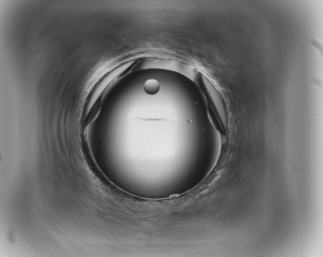 X0000096470007200801241439