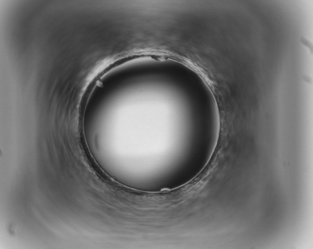 X0000096470008200801241439