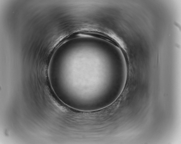 X0000096470009200801241439