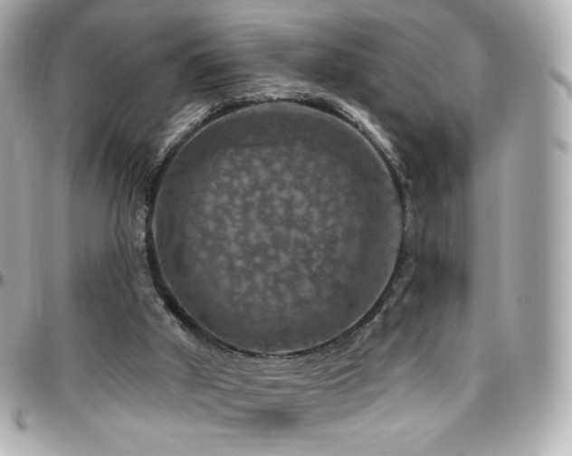 X0000096470010200801241439