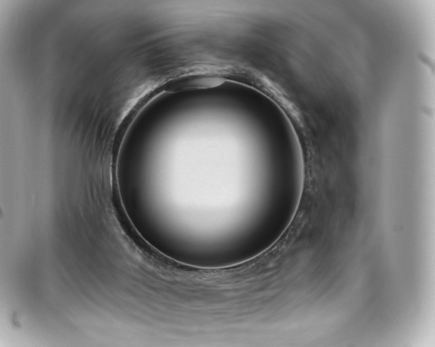 X0000096470011200801241439