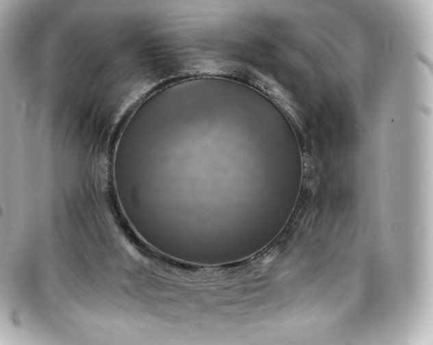 X0000096470012200801241439