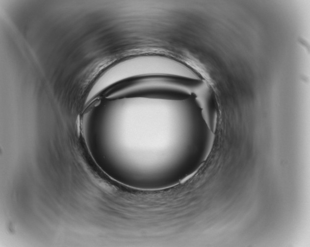 X0000096470013200801241439