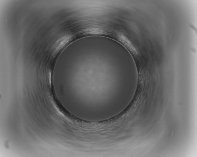 X0000096470014200801241439