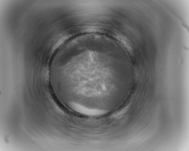 X0000096470016200801241439