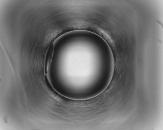 X0000096470017200801241439