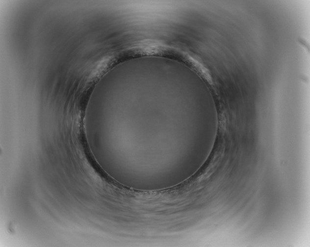 X0000096470018200801241439