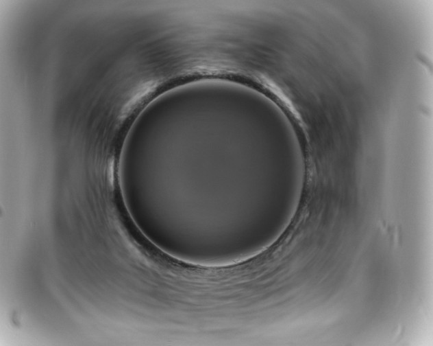 X0000096470019200801241439