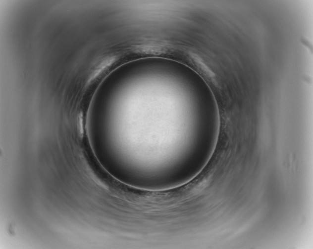 X0000096470020200801241439