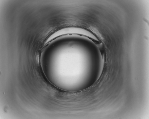 X0000096470021200801241439