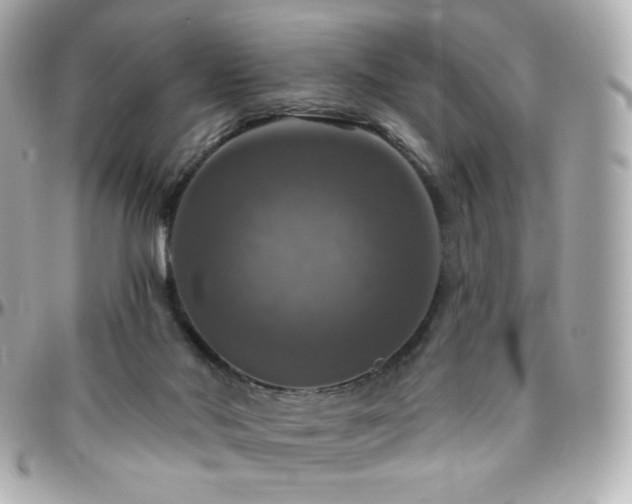 X0000096470022200801241439