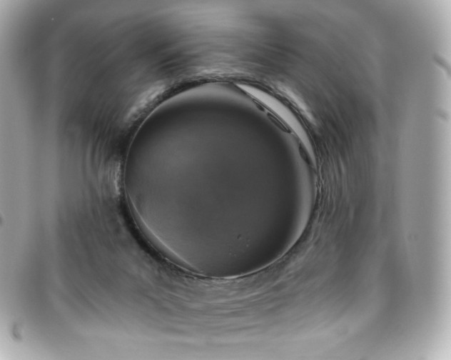 X0000096470023200801241439