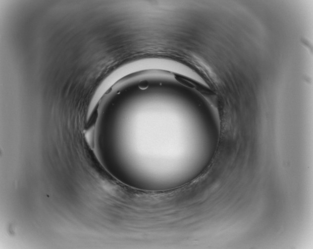 X0000096470025200801241439