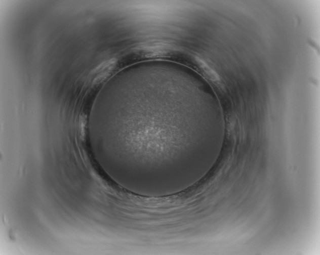 X0000096470026200801241439