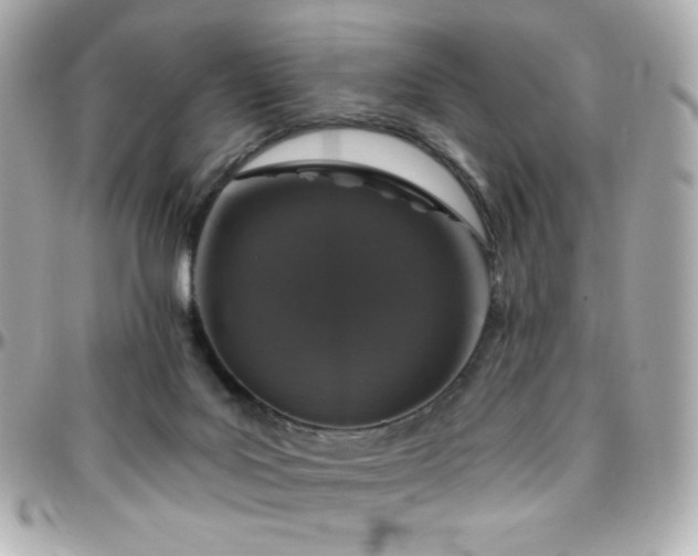 X0000096470027200801241439