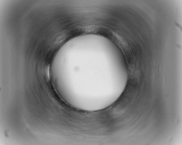 X0000096470028200801241439