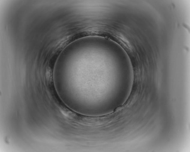 X0000096470029200801241439