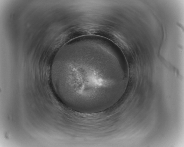 X0000096470030200801241438