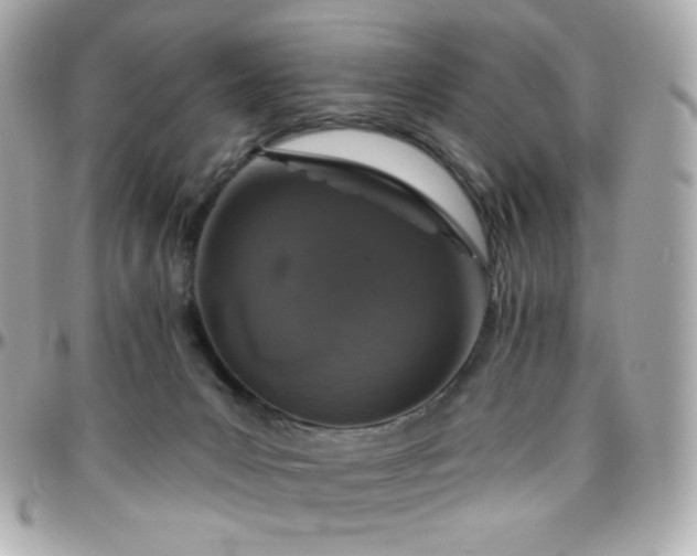 X0000096470031200801241438