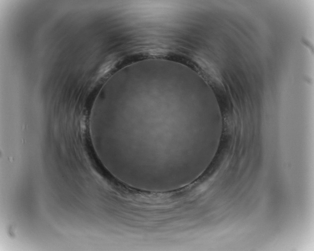 X0000096470032200801241438