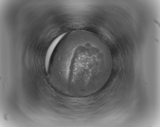 X0000096470034200801241438