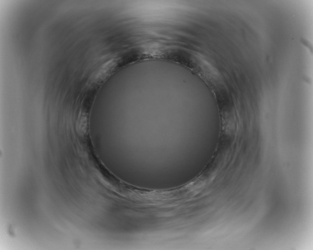 X0000096470036200801241438