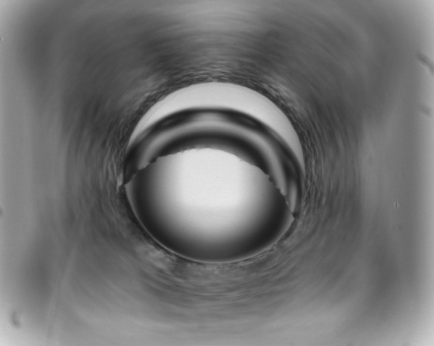 X0000096470037200801241438