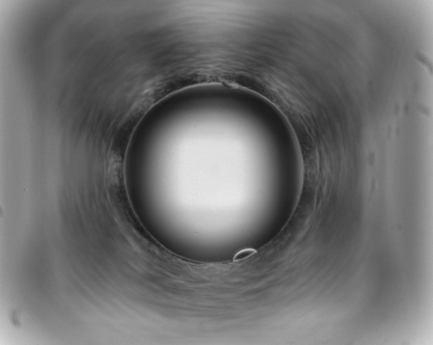 X0000096470038200801241438