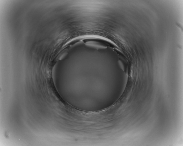 X0000096470039200801241438