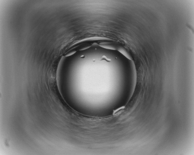 X0000096470040200801241438