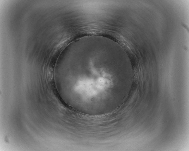 X0000096470043200801241438