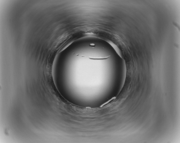 X0000096470044200801241438