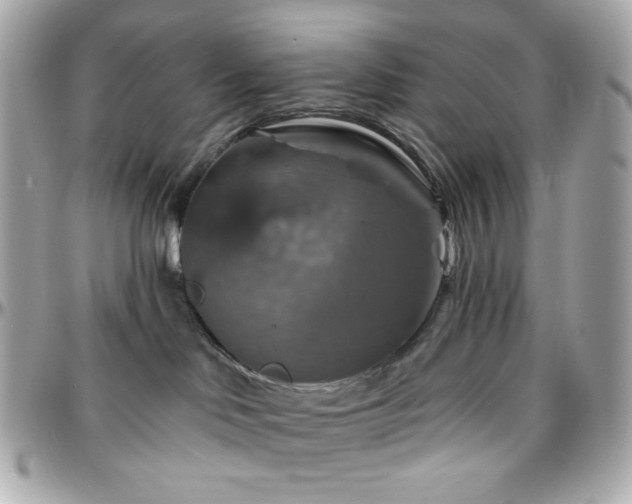 X0000096470046200801241438