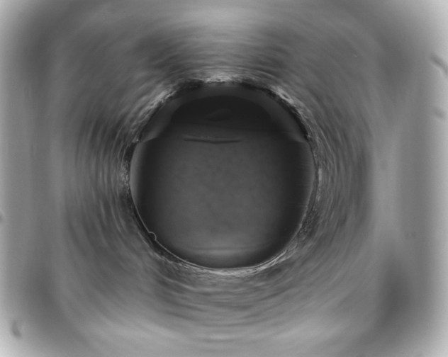 X0000096470048200801241438