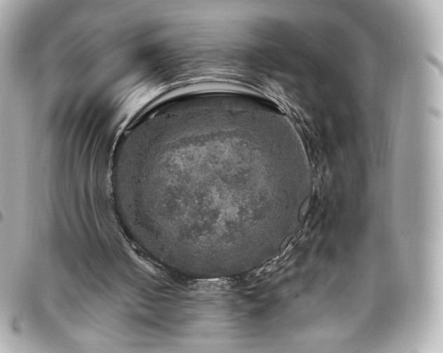 X0000096470050200801241438