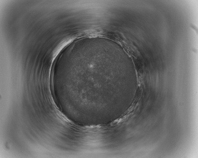 X0000096470052200801241438