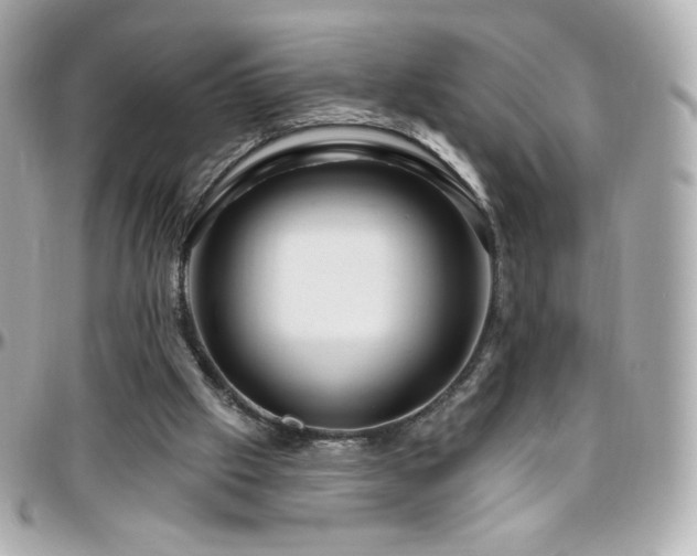 X0000096470057200801241438