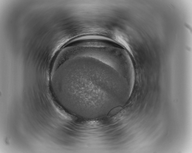 X0000096470059200801241438