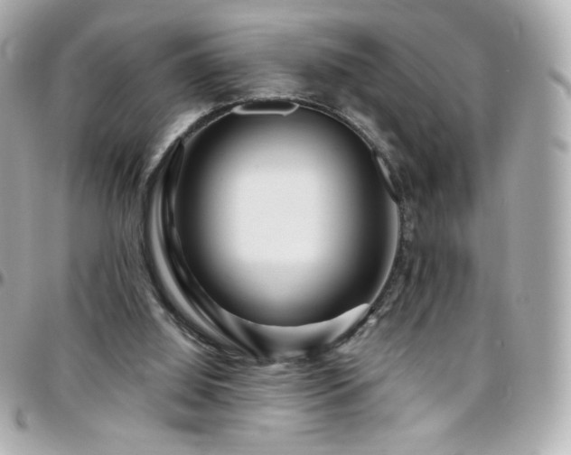 X0000096470060200801241438