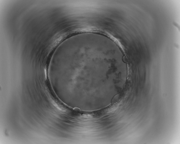 X0000096470061200801241438