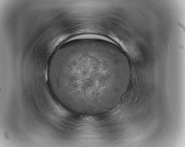 X0000096470062200801241438