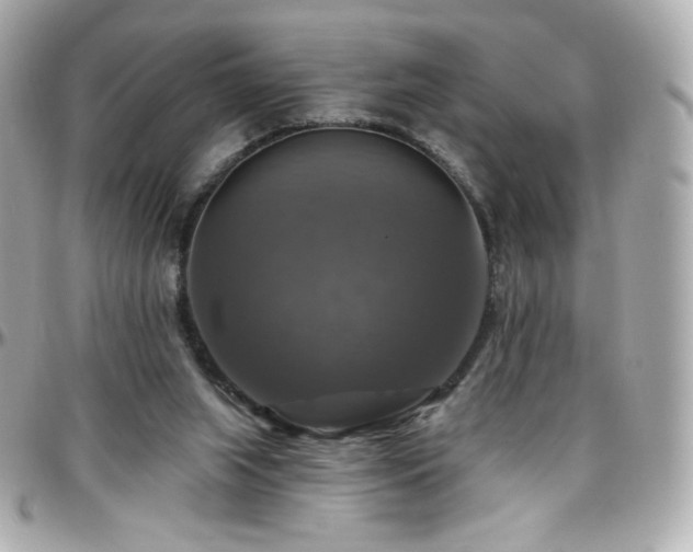 X0000096470063200801241438