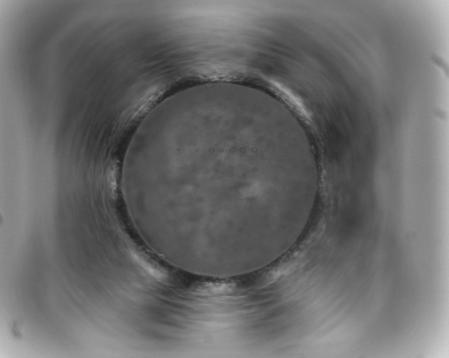 X0000096470065200801241438