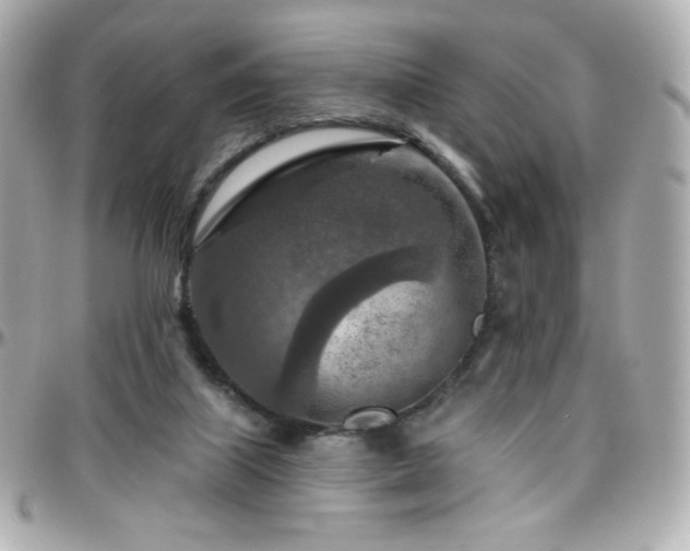 X0000096470067200801241438