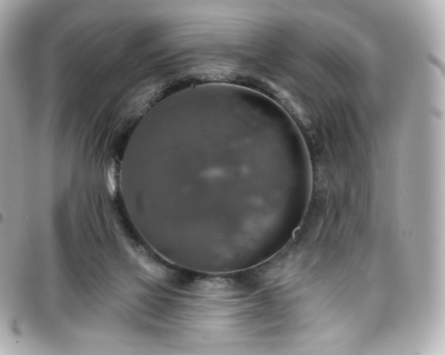 X0000096470069200801241438