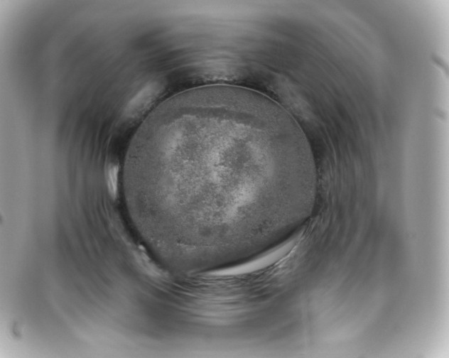 X0000096470070200801241438