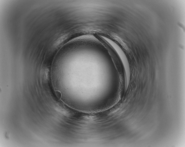 X0000096470071200801241438