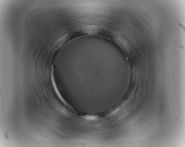 X0000096470073200801241438