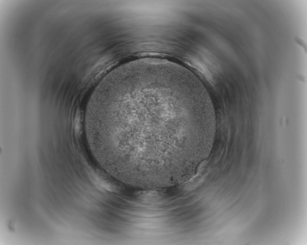 X0000096470074200801241438